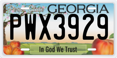 GA license plate PWX3929