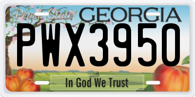 GA license plate PWX3950