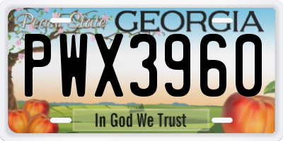 GA license plate PWX3960