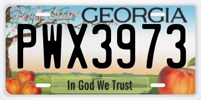 GA license plate PWX3973