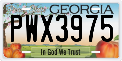 GA license plate PWX3975