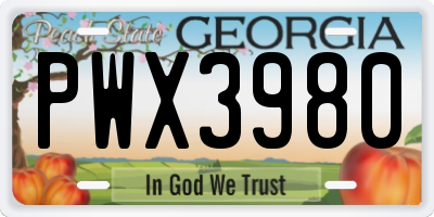 GA license plate PWX3980