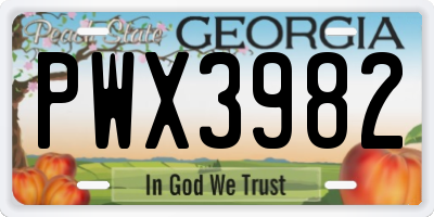 GA license plate PWX3982