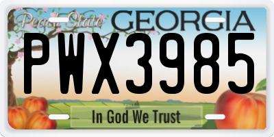 GA license plate PWX3985