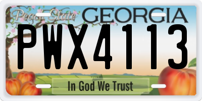 GA license plate PWX4113