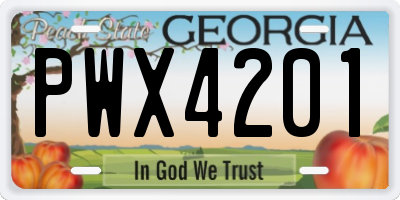 GA license plate PWX4201