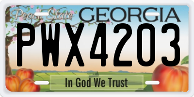 GA license plate PWX4203