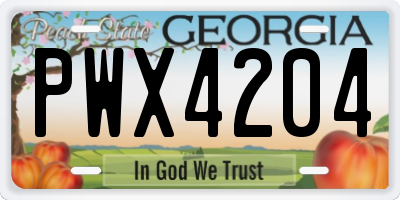 GA license plate PWX4204