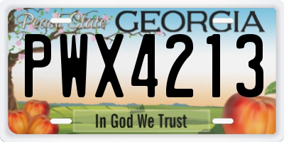 GA license plate PWX4213
