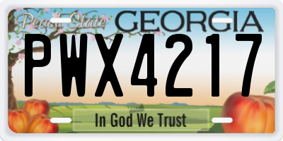 GA license plate PWX4217