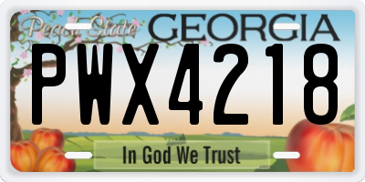 GA license plate PWX4218