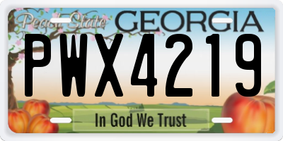 GA license plate PWX4219