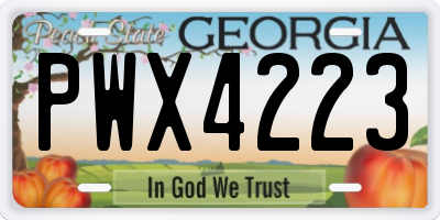 GA license plate PWX4223