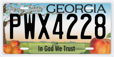 GA license plate PWX4228