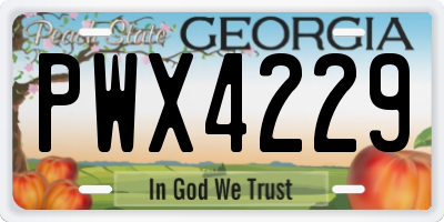 GA license plate PWX4229
