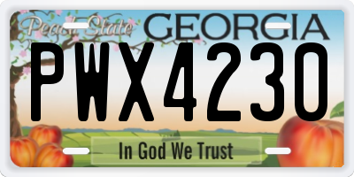 GA license plate PWX4230