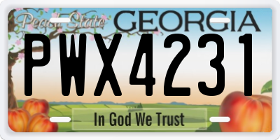 GA license plate PWX4231