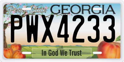 GA license plate PWX4233