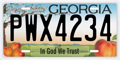 GA license plate PWX4234