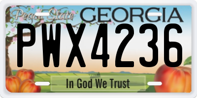 GA license plate PWX4236