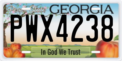 GA license plate PWX4238