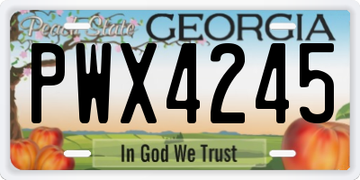 GA license plate PWX4245