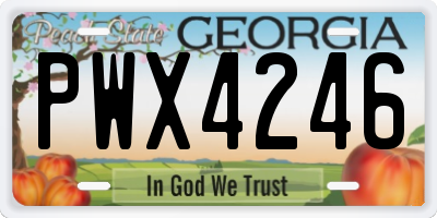 GA license plate PWX4246