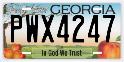 GA license plate PWX4247