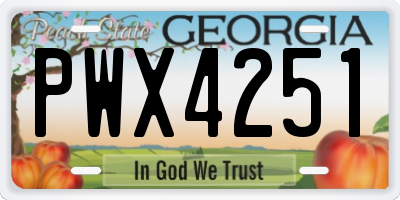 GA license plate PWX4251