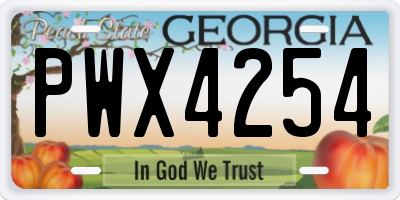 GA license plate PWX4254