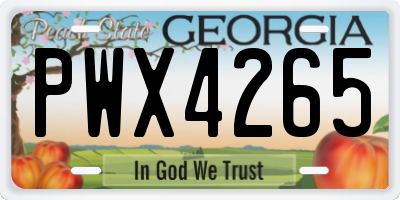 GA license plate PWX4265