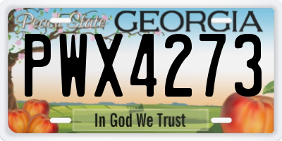 GA license plate PWX4273
