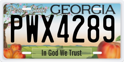 GA license plate PWX4289