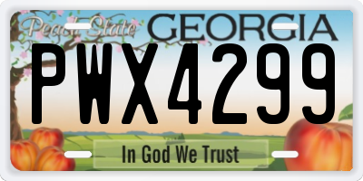 GA license plate PWX4299