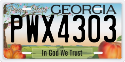 GA license plate PWX4303