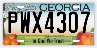 GA license plate PWX4307