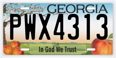 GA license plate PWX4313