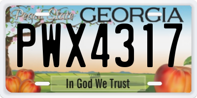 GA license plate PWX4317