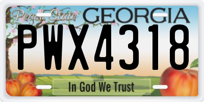 GA license plate PWX4318