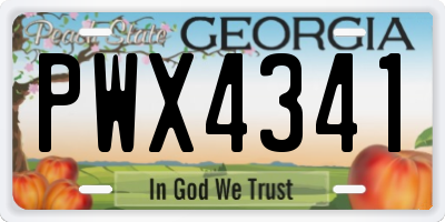 GA license plate PWX4341
