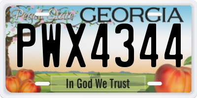 GA license plate PWX4344