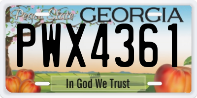 GA license plate PWX4361