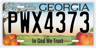 GA license plate PWX4373