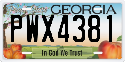 GA license plate PWX4381