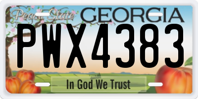 GA license plate PWX4383