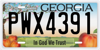 GA license plate PWX4391