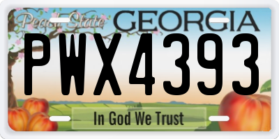 GA license plate PWX4393
