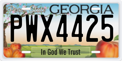 GA license plate PWX4425