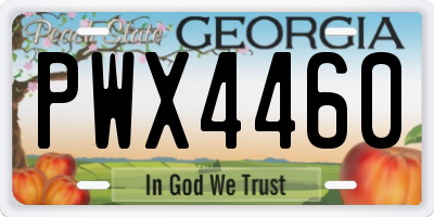 GA license plate PWX4460
