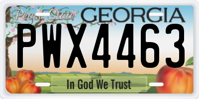 GA license plate PWX4463
